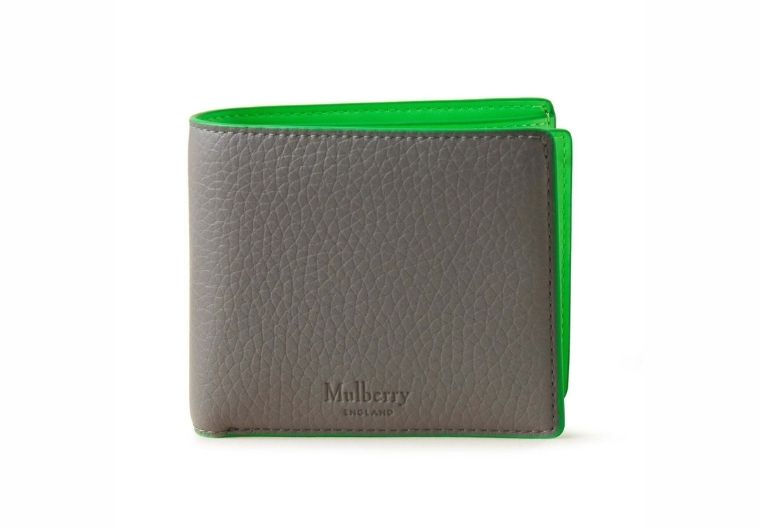Mulberry 8 Card Coin Wallet