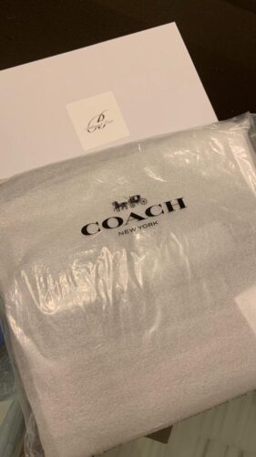 Coach - Mini Jamie Camera Bag In Signature Canvas photo review